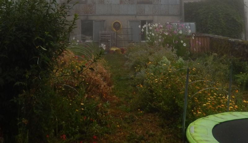 2023_09_jardin.jpg 2023_09_jardin.jpg