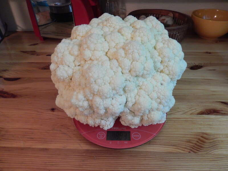 Un très gros chou-fleur Un très gros chou-fleur